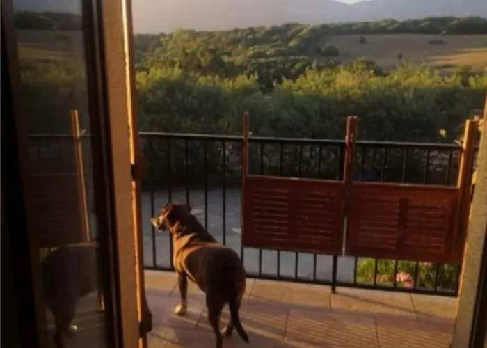 Apartmán Vue Les Hameaux De A *